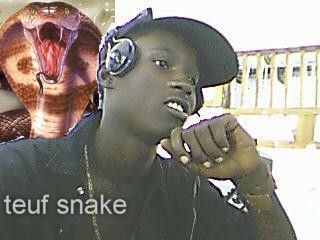 teuf snake 